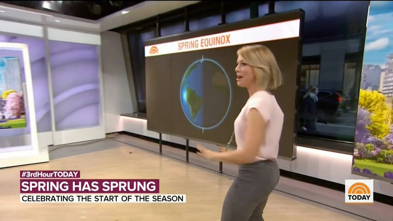 dylan dreyer ass