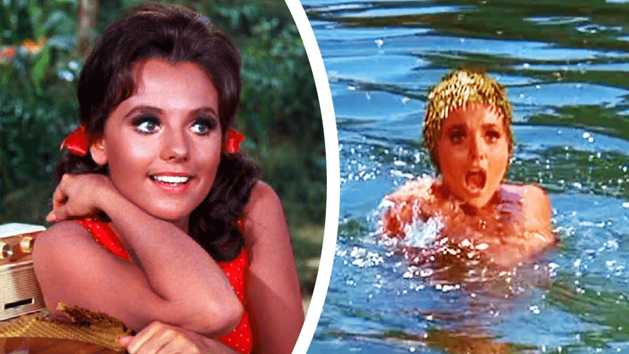 brady hicks recommends dawn wells in a bikini pic