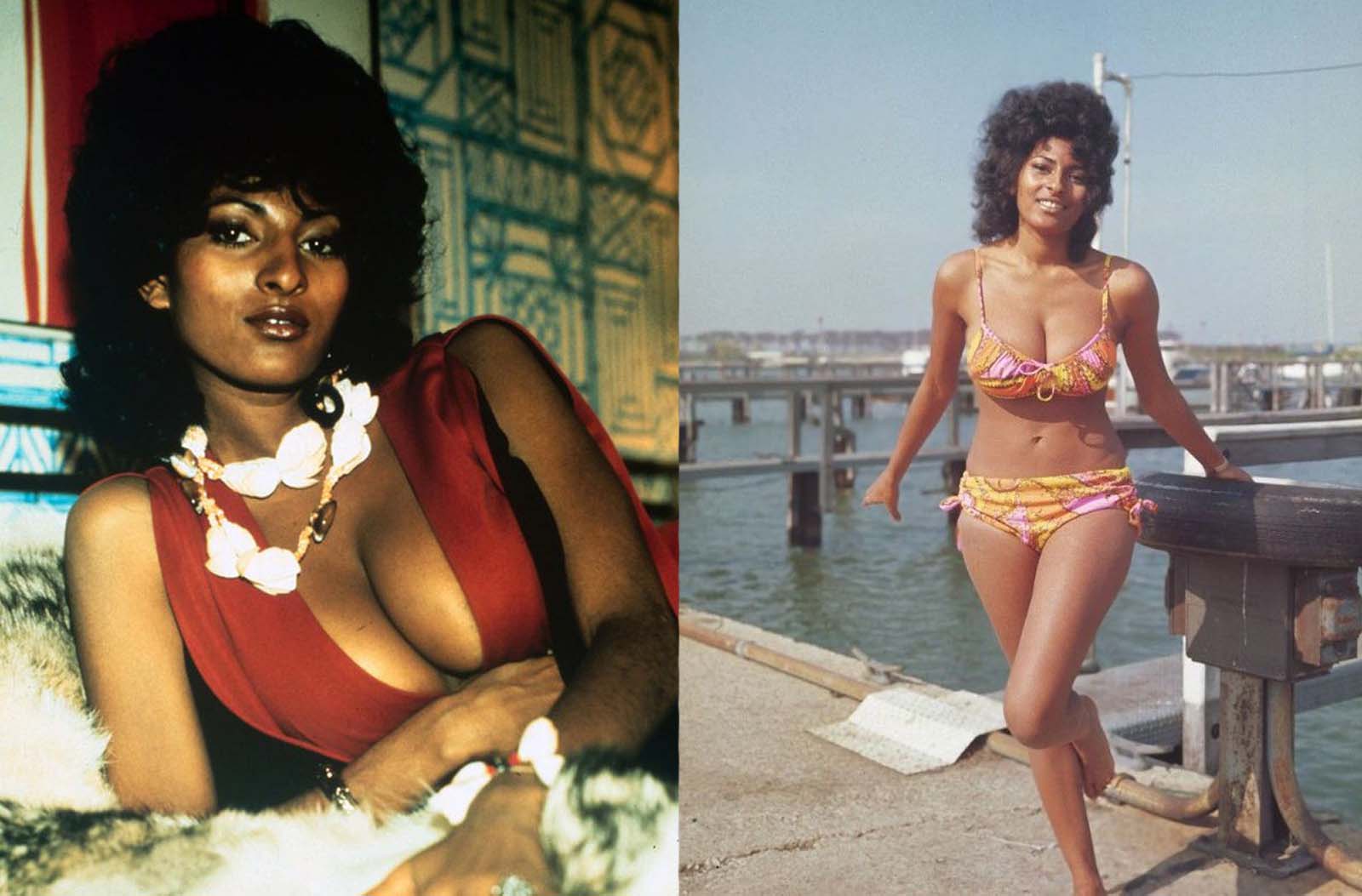 aysha adams recommends pam grier breasts pic