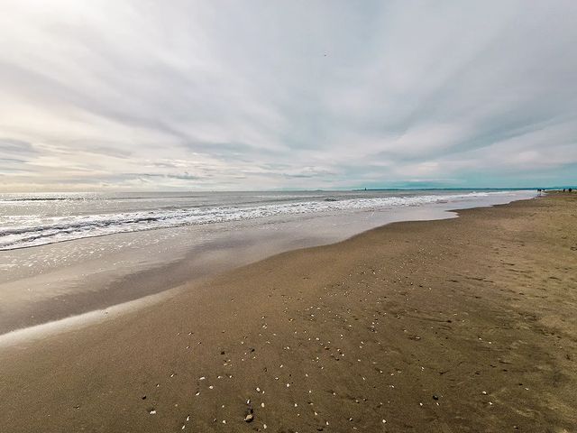 braedon walker recommends french family nudists pic