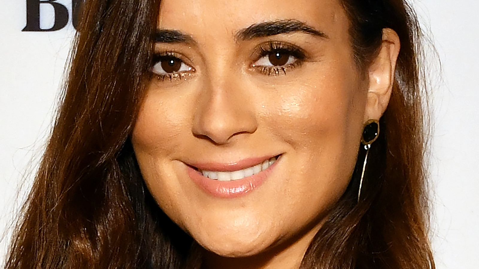 crystal c wilson recommends Cote De Pablo In The Nude