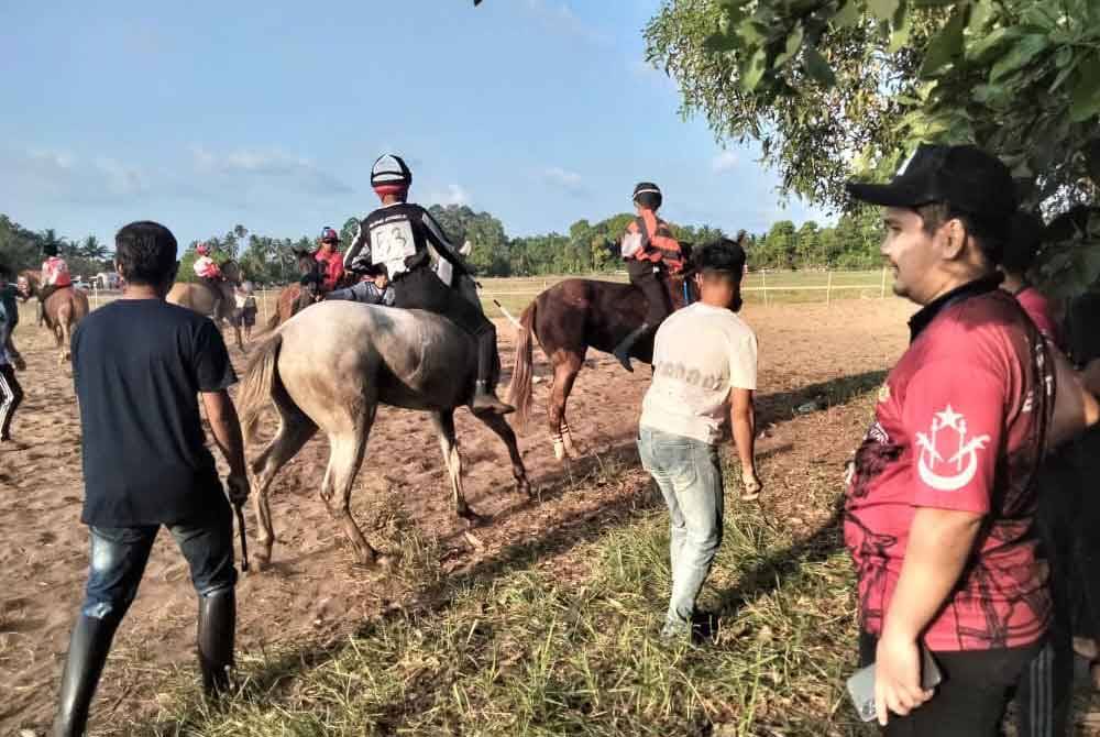 candis thomason recommends Siri Riding