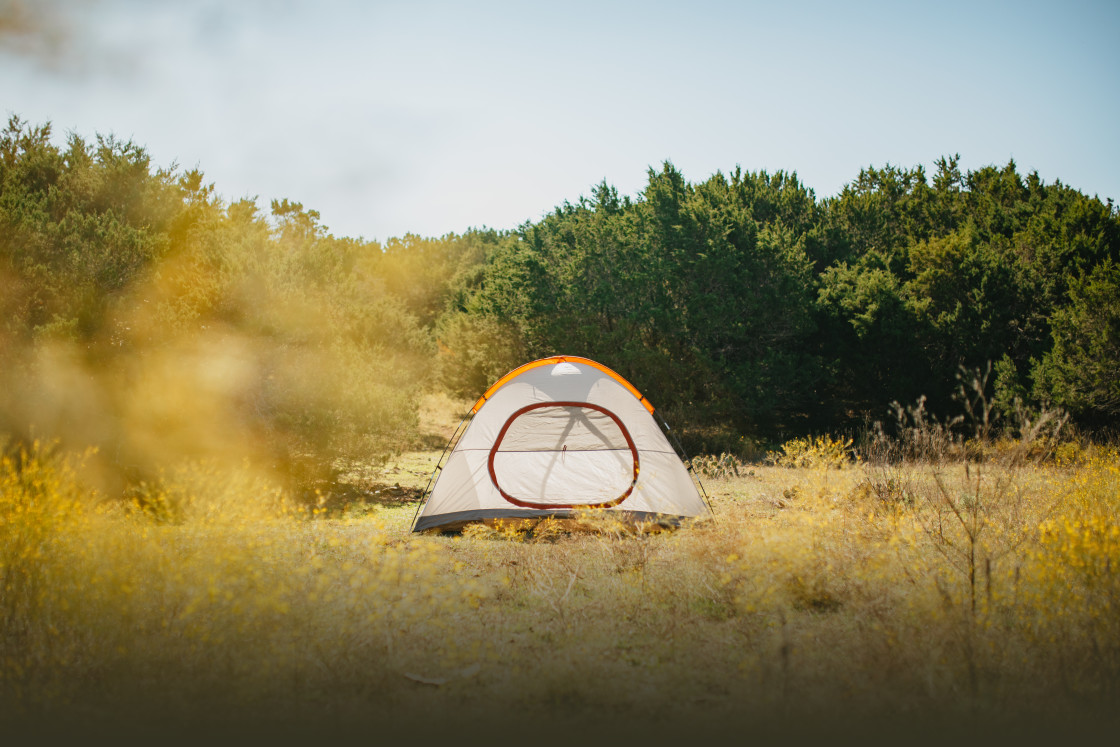 donna laney recommends Naked Women Camping