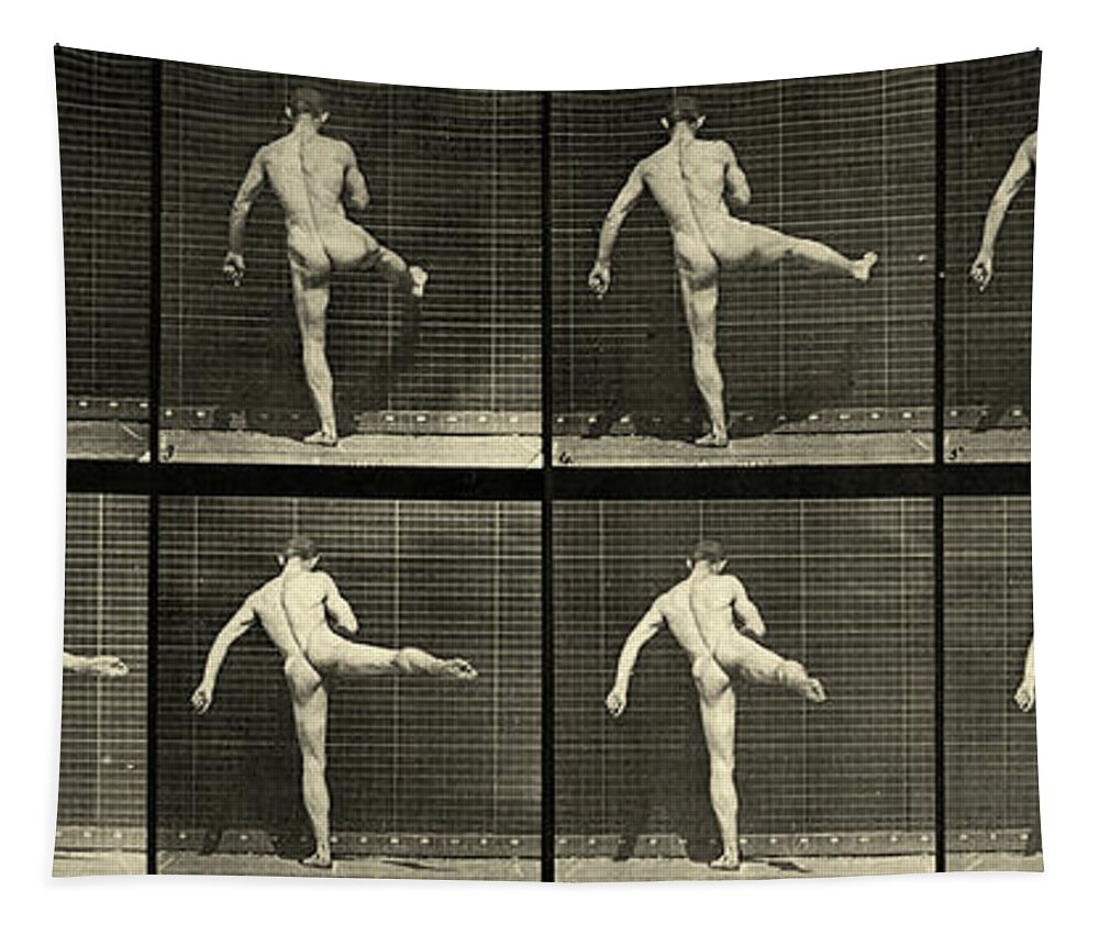 bronwyn schmidt recommends Nude Ballet Male