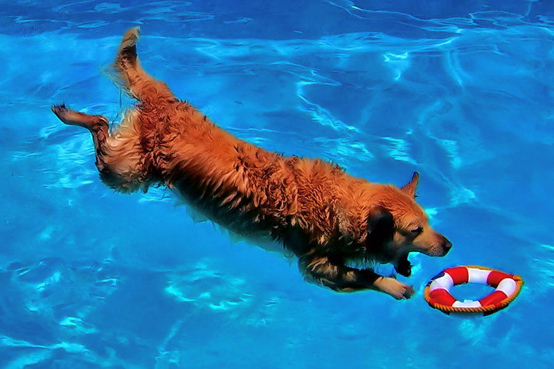 bill kreft recommends swimming pool twinks pic