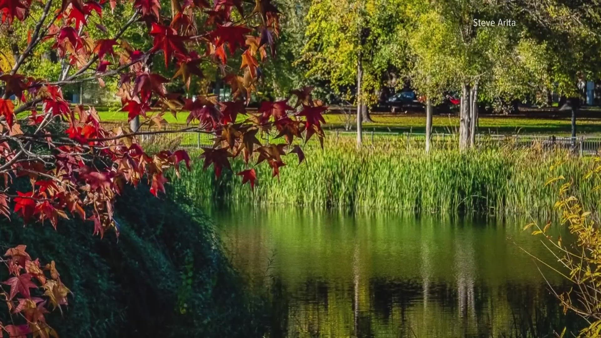 bernard velarde recommends colors of autumn porn pic