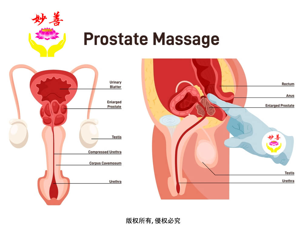 Best of Japanese prostate massage