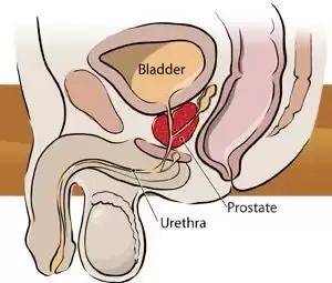 choi hye roung recommends Prostate Stimulation Stories