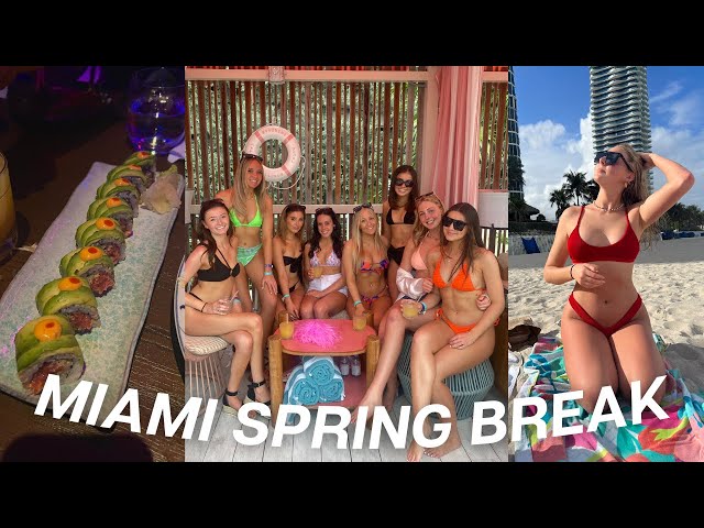 adam page recommends Horny Spring Breakers