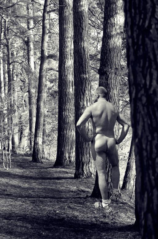 anthony goodridge recommends naked men in the woods pic