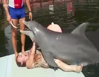 Female Dolphin Porn orgy xnxx