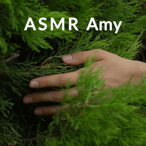david fago recommends asmr amy pic