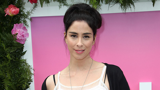 callie jones add photo sarah silverman in bikini