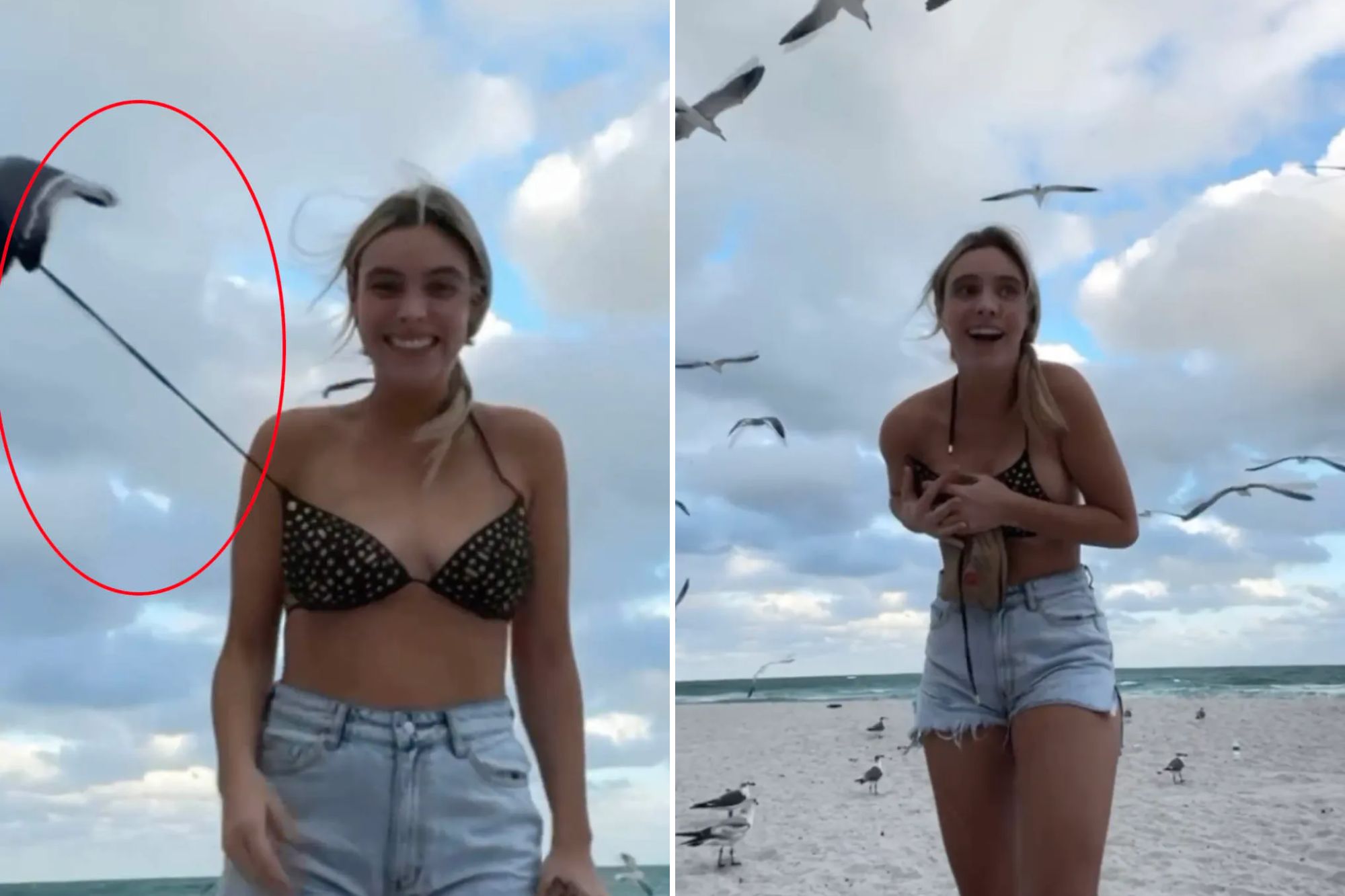 Best of Beach porn hidden cam