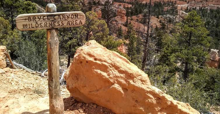 andrea hewitt add chrity canyon photo