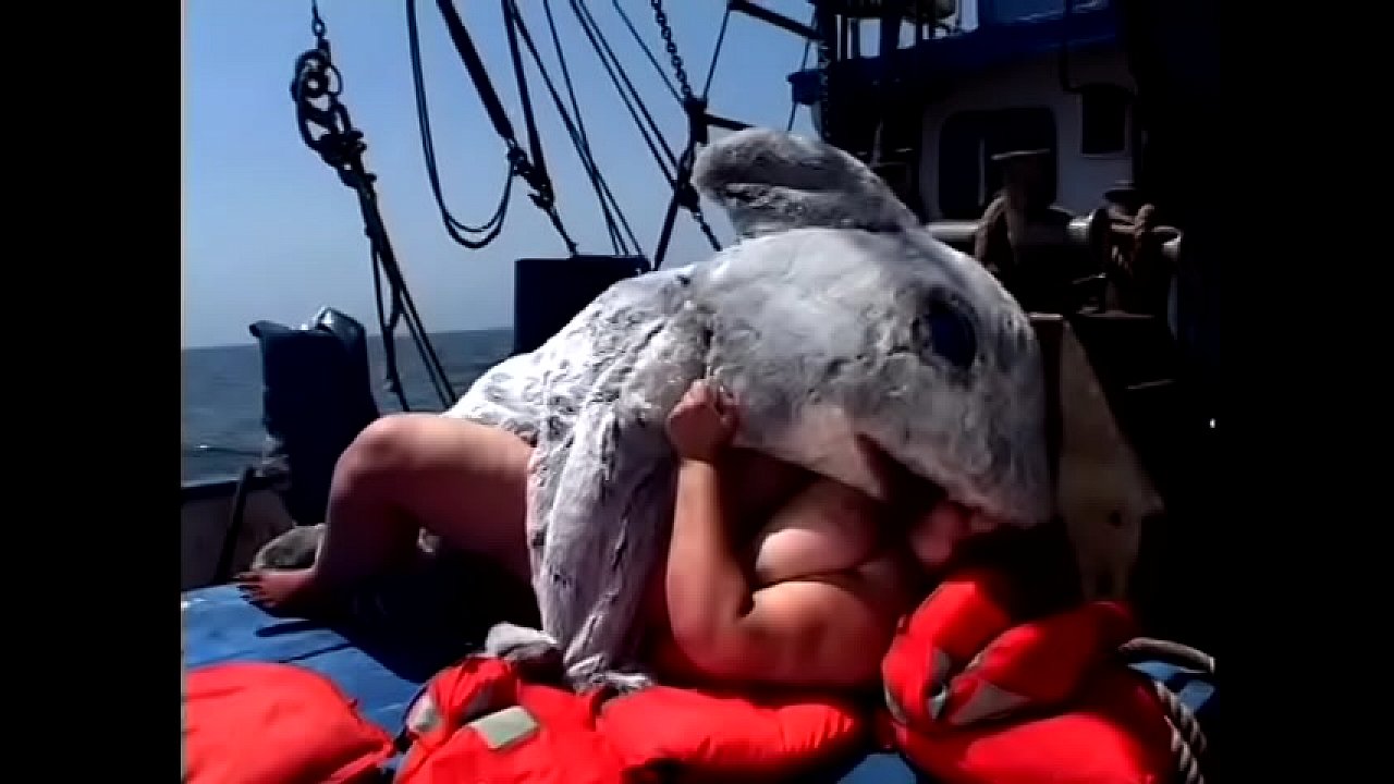 angies page recommends Man Fucks Dolphin