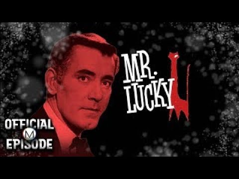 aggie recommends Mr Lucky Life