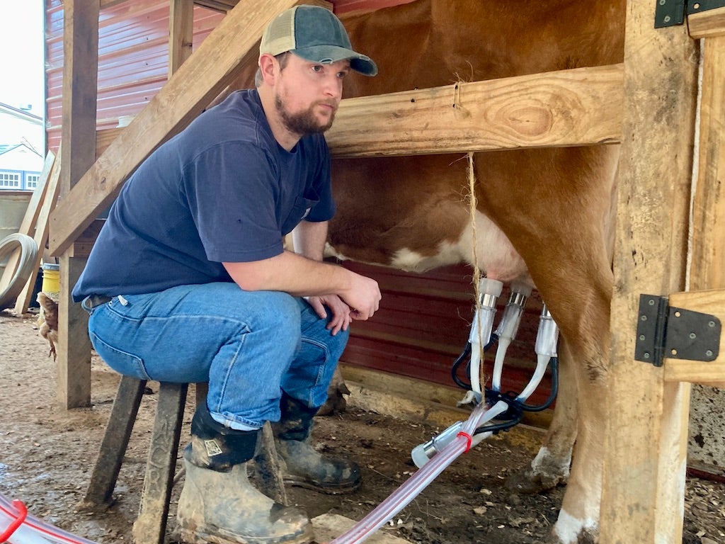 champ long recommends Milking Cam