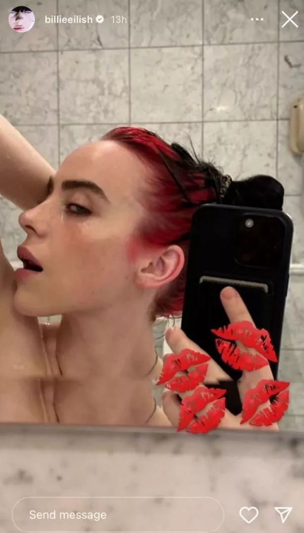 adam salhaney recommends billie eilish naked boobs pic