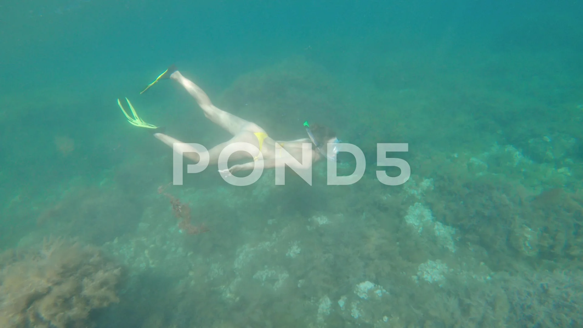 andrew weidinger recommends Naked Snorkeling