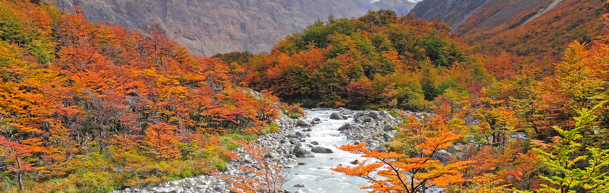 cindy stacy recommends Colours Of Autumn Leaked