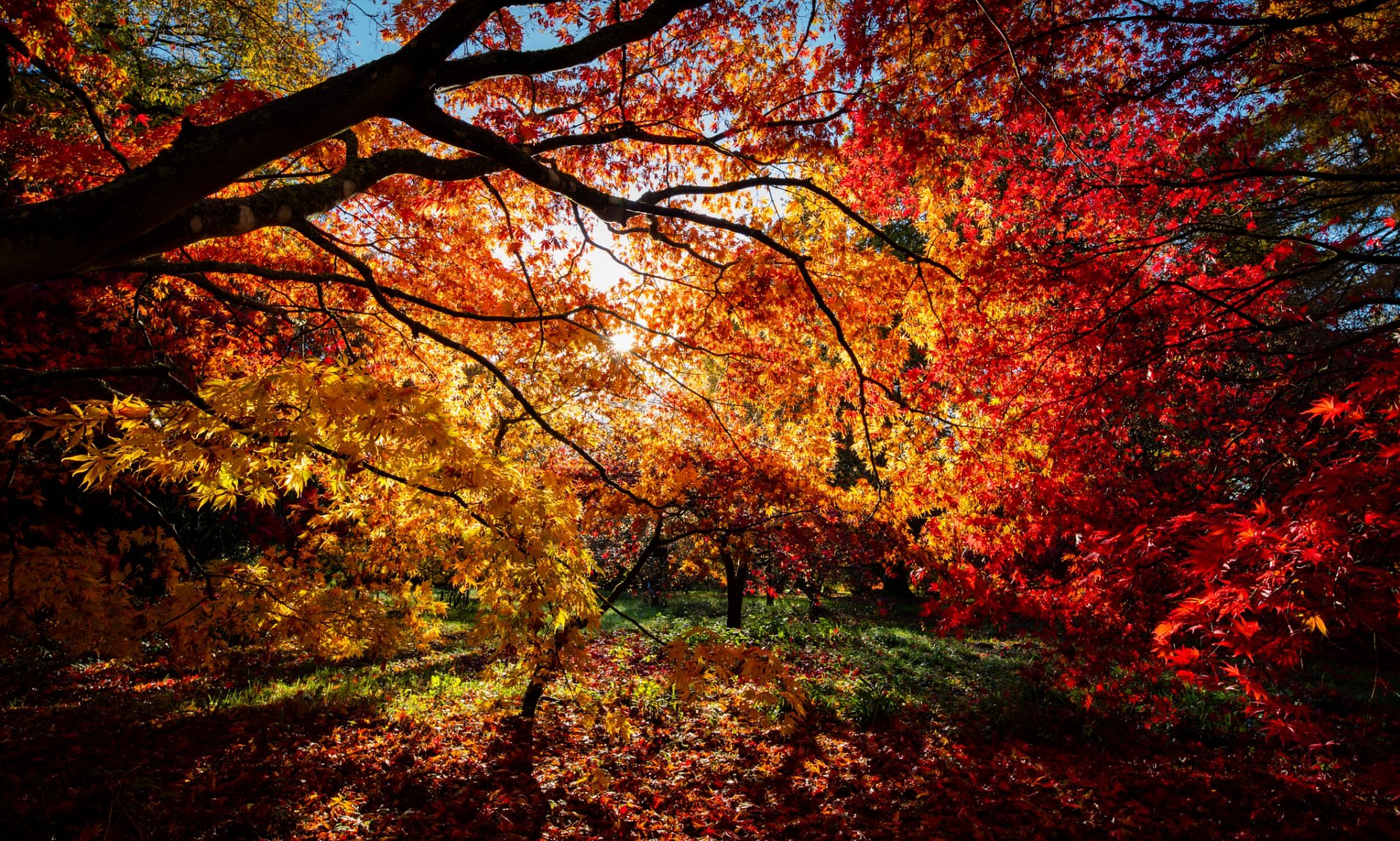 april holmes share colours of autumn leaked photos