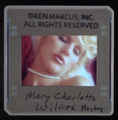 Mary Charlotte Wilcox surrender movies