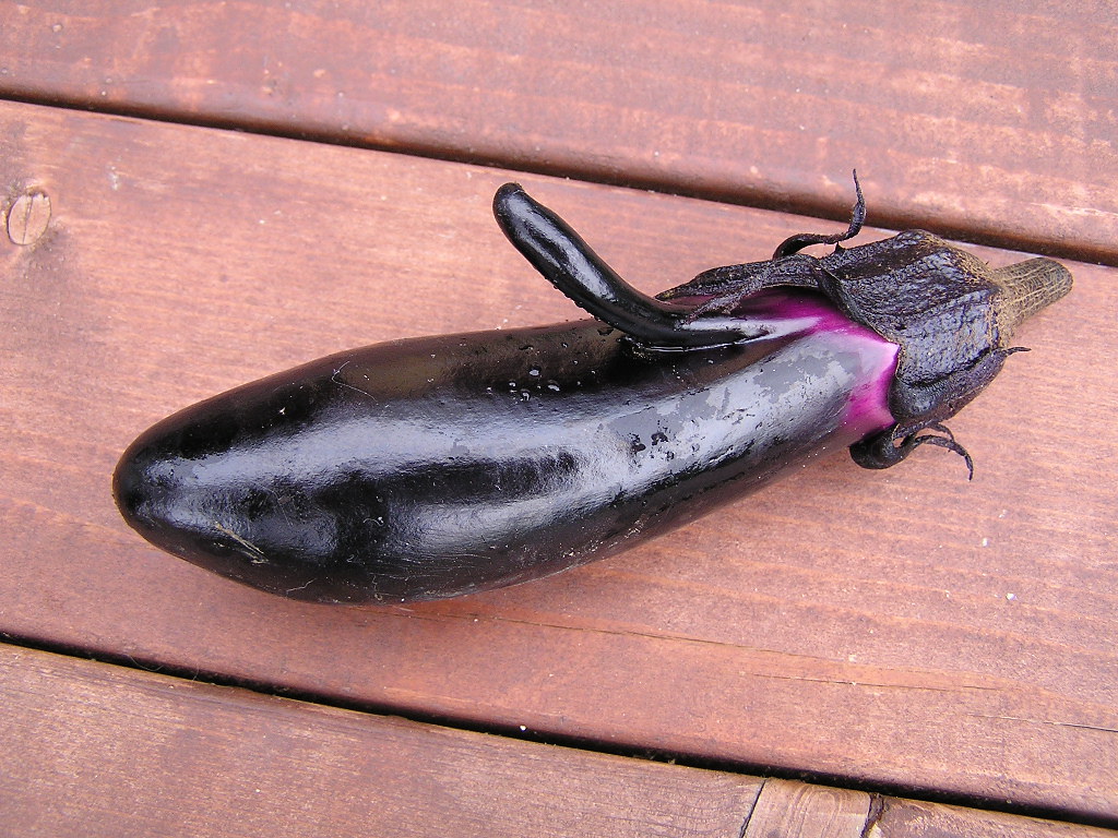 Eggplant Porn hiry com