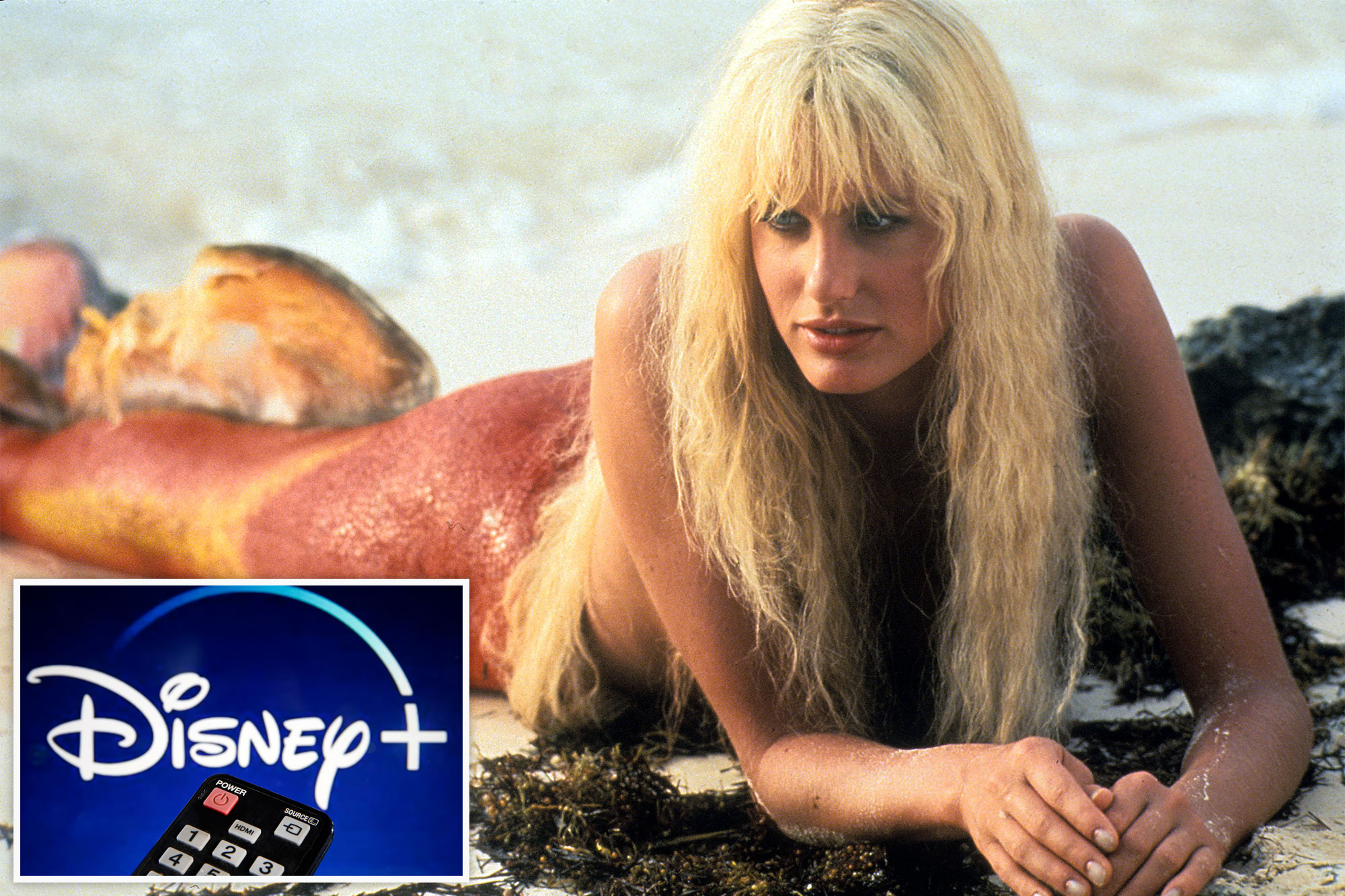 dionna jackson recommends Daryl Hannah Naked