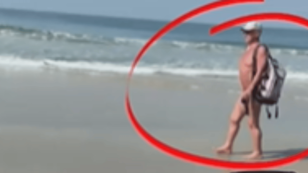 allison myrick recommends free naked beach videos pic