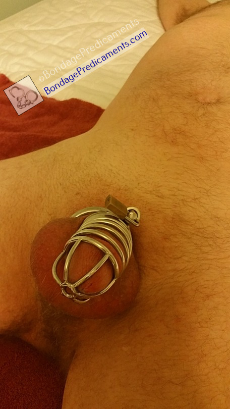 agustina mayasari recommends gay bondage chastity pic