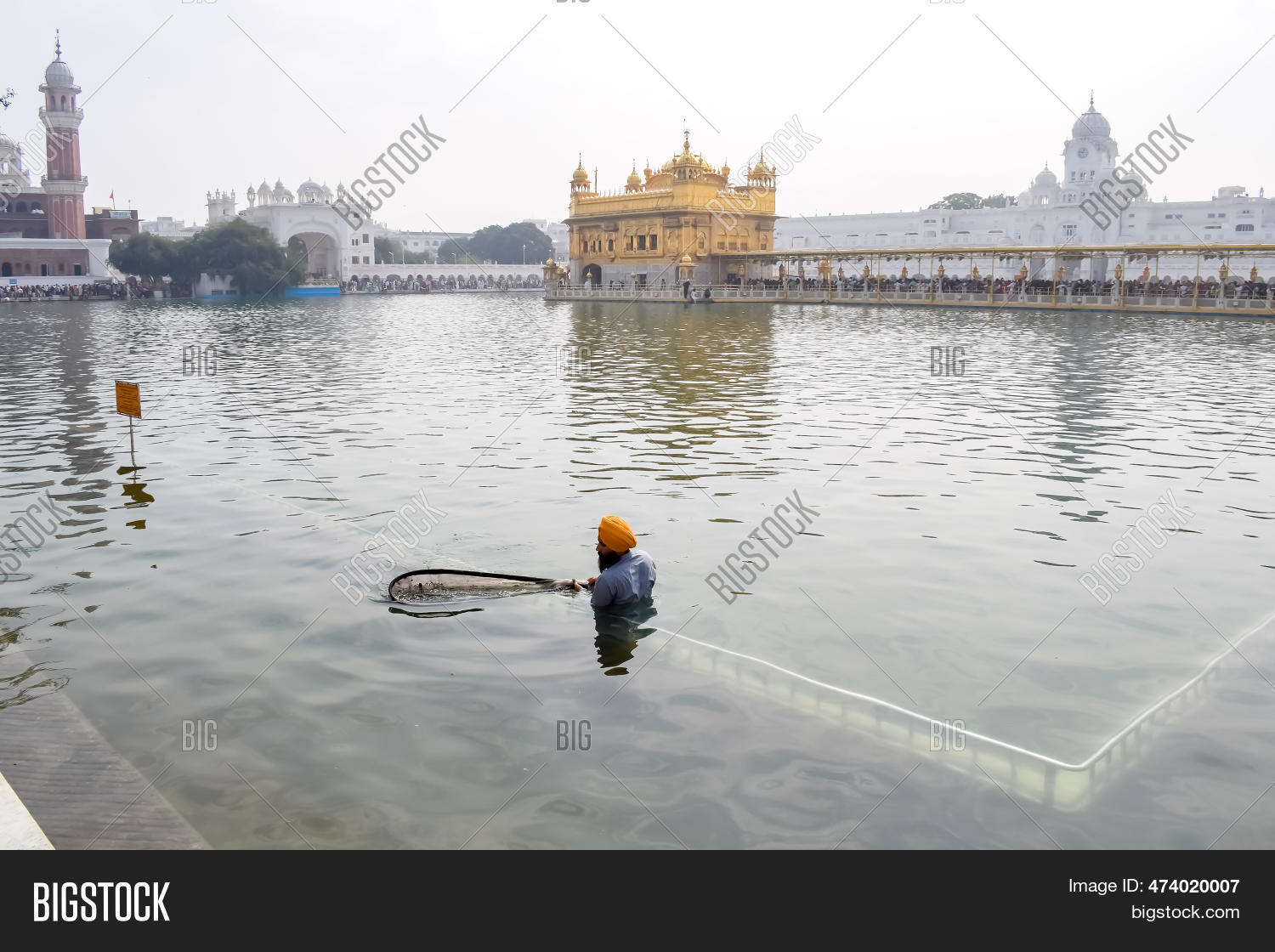 alison foster recommends india bigcock pic