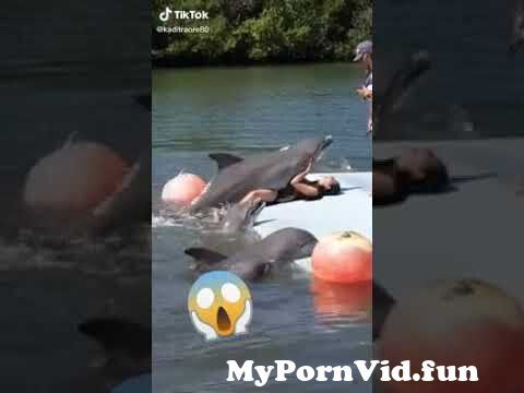 dolapo ogunleye recommends man fucks dolphin pic