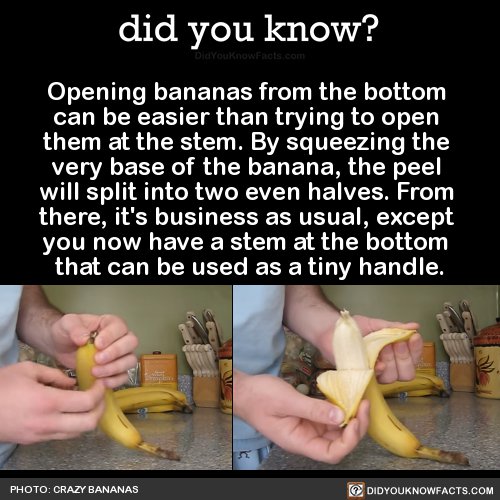 masturbating with banana