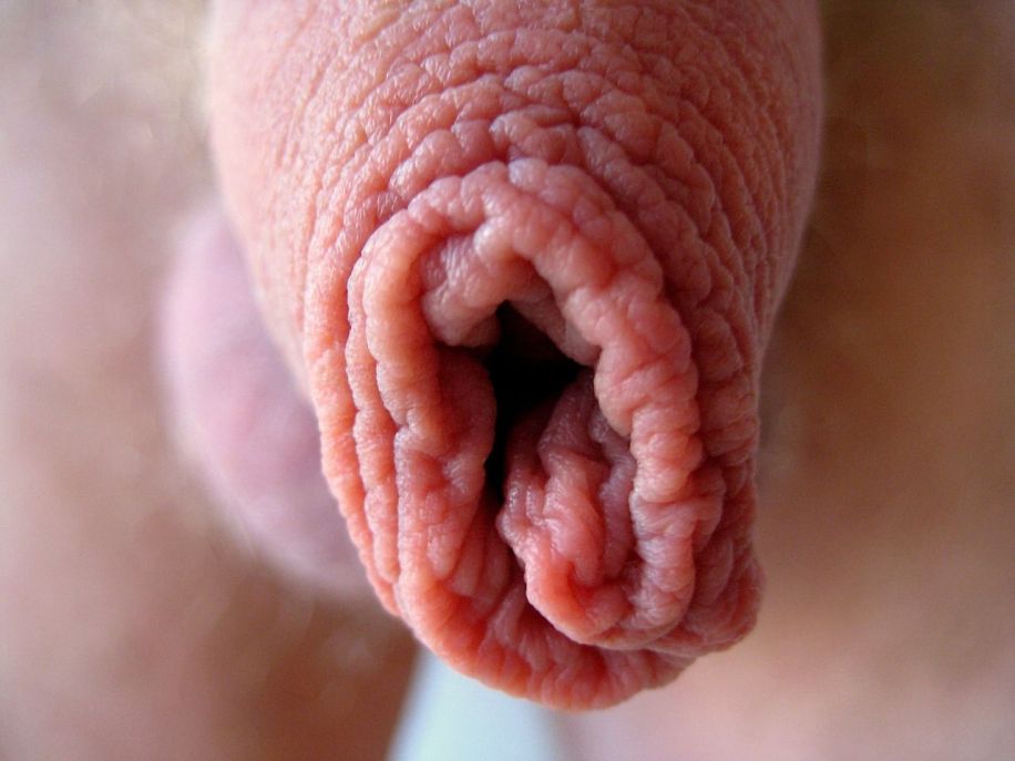 Naked Circumcised Guys tongue blowjob