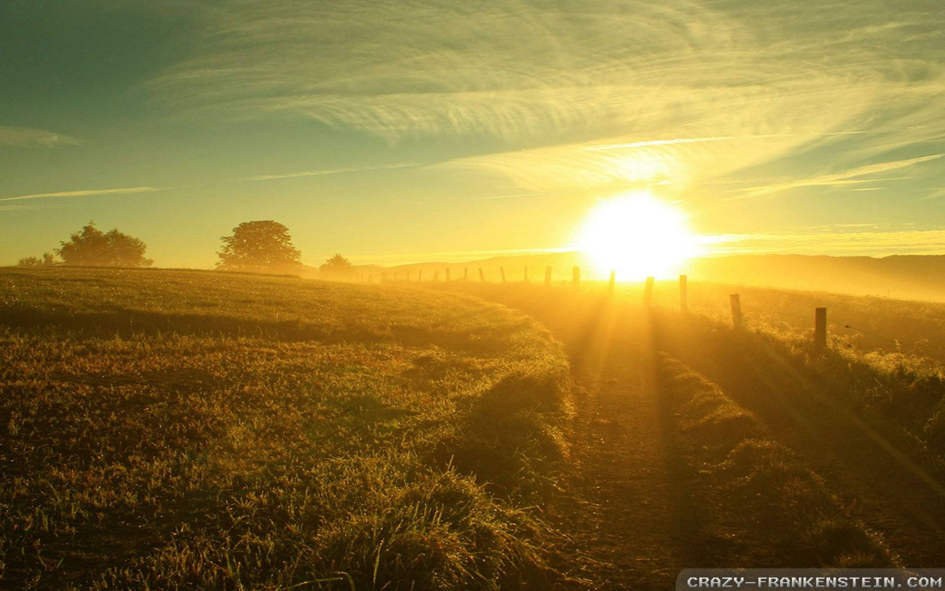 alberto lajara share stunning summer photos