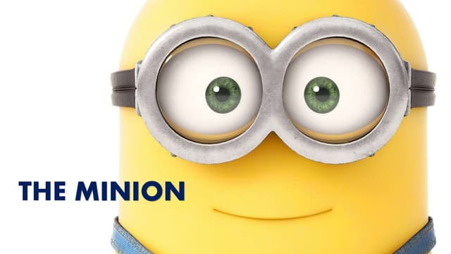 damon mccormick add photo theminion com