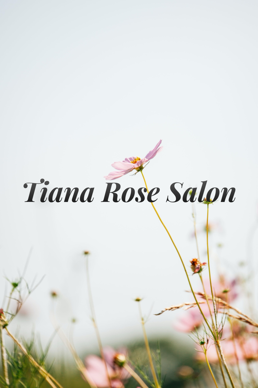 anne m klein share tiana rose photos