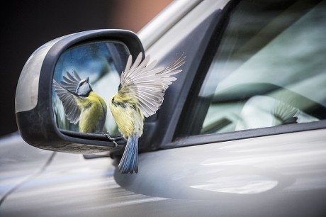 catherine urquhart add photo tit in car