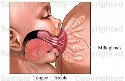 women sucking on big tits